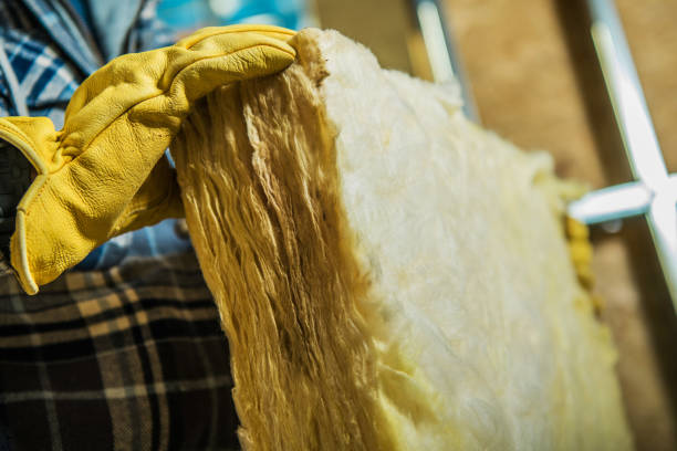 Best Insulation Installation Services in Cisco, TX